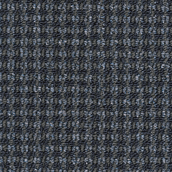 Blue Moon.jpg